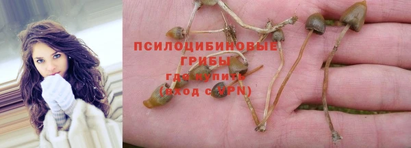 амф Володарск
