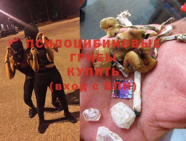 спиды Вязьма