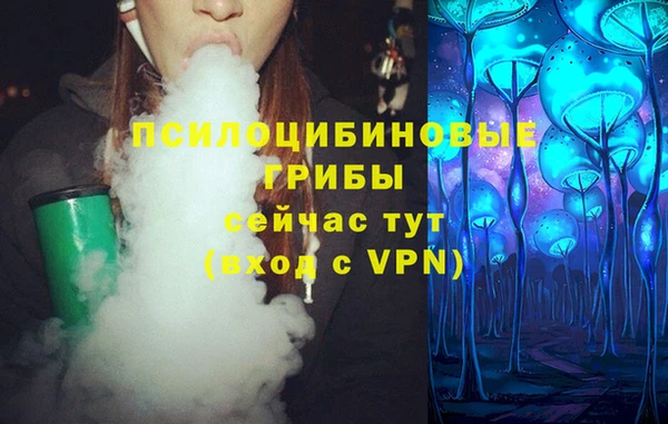 сатива Волосово