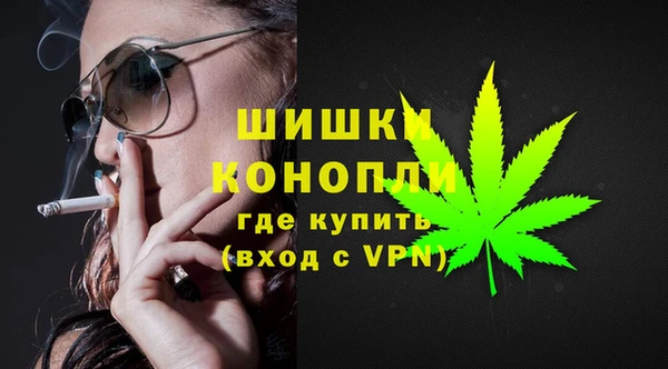 сатива Волосово