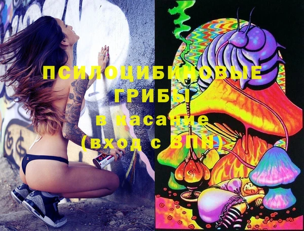 герыч Верхний Тагил
