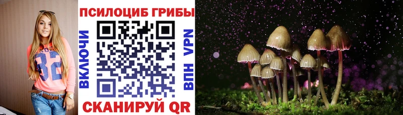 сколько стоит  Сургут  Галлюциногенные грибы Magic Shrooms 